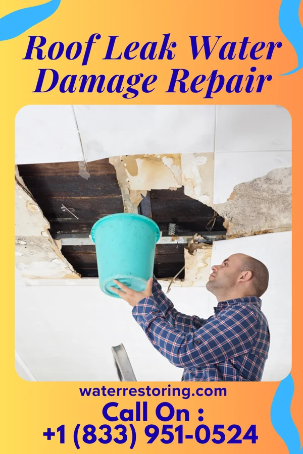 Roof Leak Water Damage Repair in Rockland, ID
